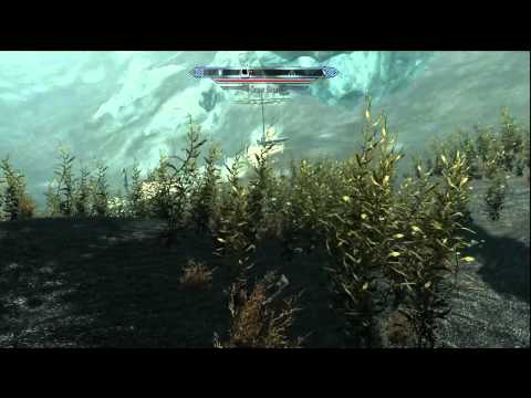 Skyrim - Amphibious Attack Bear