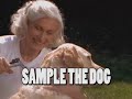 Stock Footage Music Video - Sample the Dog (Timbuk 3)
