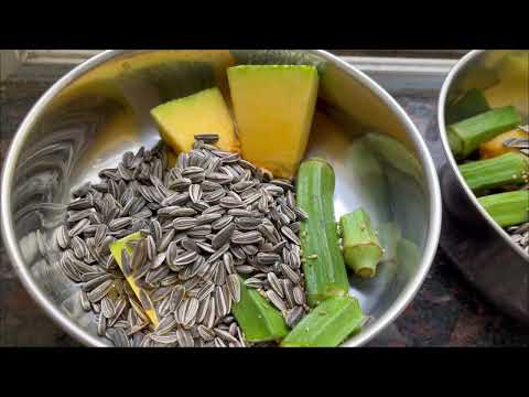 Rainy Season Bird Feeding Tips: Nutritious Foods to Keep Your Feathered Friends Happy and Healthy