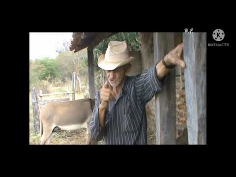 Leonardo Bastião 🤠My Inheritance