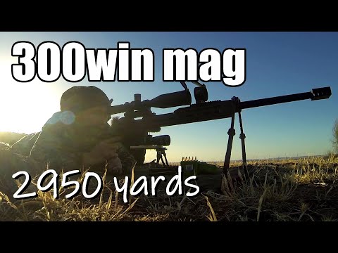 300 Win Mag, 245 Berger, 250 Atip and 230 Berger (interesting)