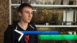 Харків’янин утримує вдома понад 500 павуків