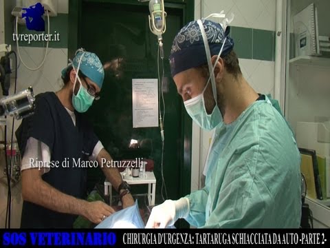 Che per rimuovere il farmaco dolori articolari Sindromi di ernia intervertebrale