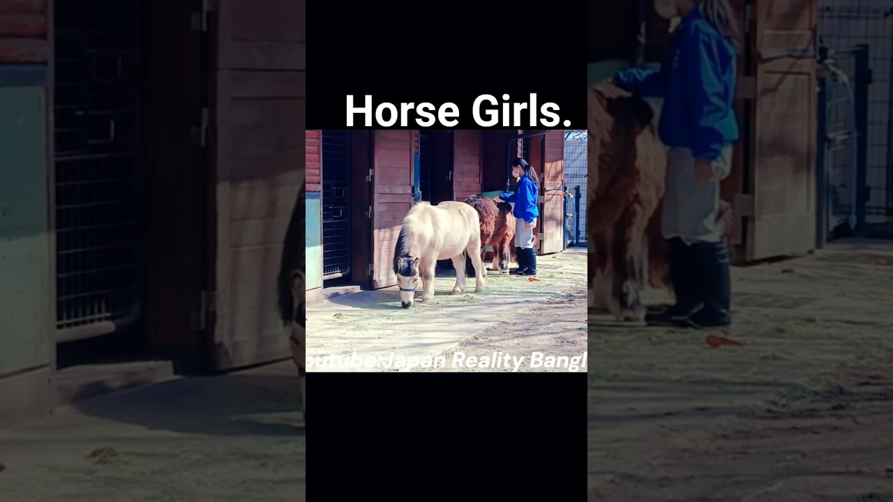 horse girls