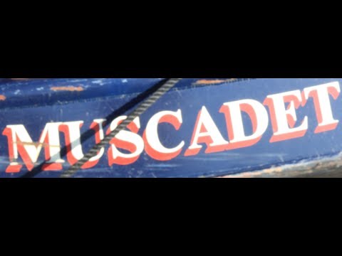 Holiday on 'Muscadet' - Bridge Boatyard, Ely