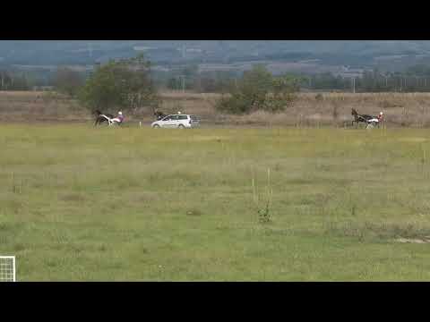 Trka "Brižita" 10.10.2020 Gracija - Zoran Živojinović