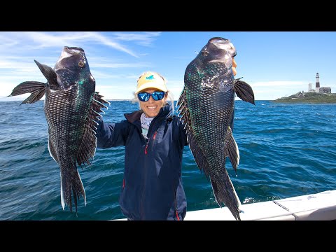 We Made A BIG MISTAKE! MONTAUK Fishing for Black Sea Bass; Catch & Cook