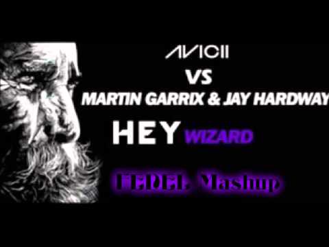 Hey Wizard Avicii vs Martin Garrix & Jay Hardway (FEDEL mashup)