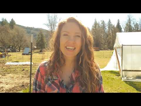 How Much to Plant Per Person for a Year's Worth of Food