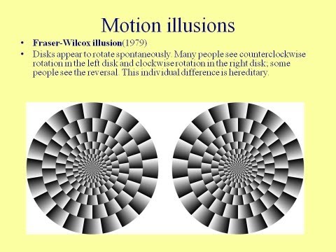 Fun with Visual Illusions