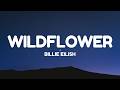 Billie Eilish WILDFLOWER Lyrics