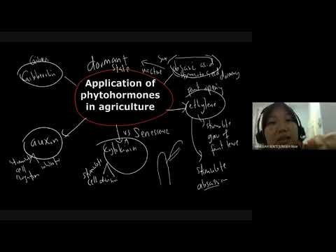 Application of phytohormone in agriculture BIOLOGY FORM 5 KSSM