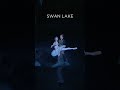 Swan Lake The Royal Ballet Royaloperahouse Ballet Shorts Swanlake