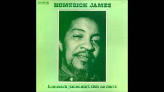 Homesick James - Ain't Sick No More (1973)