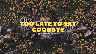 Too Late To Say Goodbye - Cage The Elephant ( Lyrics )