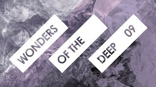 Wonders Of The Deep 09 with LOMER