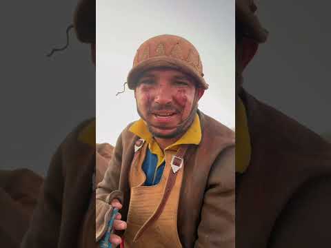 PEGA DE BOI NO MATO EM UAUÁ NA BAHIA!#vaqueiro #cavalo #pegadeboinomato #fyp #foryou