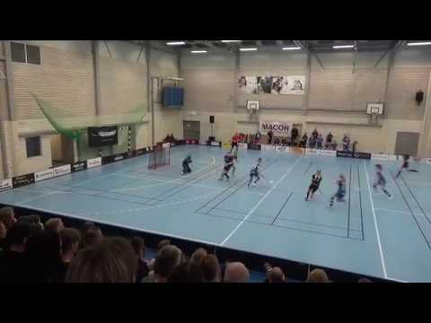 7/4-2018 Vinnare Kval till Allsvenskan Damer Hagfors - Lindås (8-5) Per1a