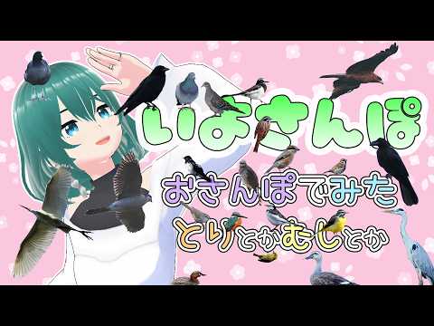 【 #いよさんぽ 】朝のお散歩で見た生き物を紹介！雛がちらほら【 #56 】