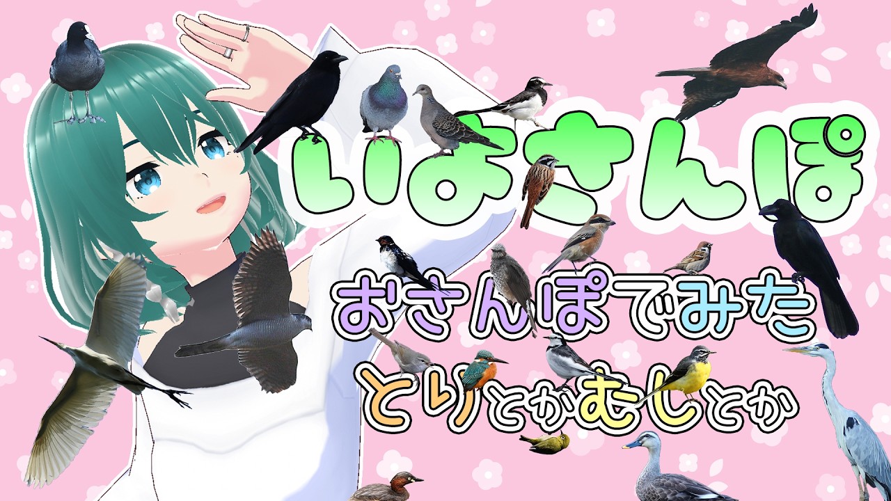 【 #いよさんぽ 】朝のお散歩で見た生き物を紹介！雛がちらほら【 #56 】