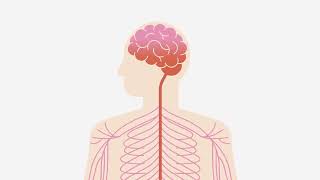 How does TENS give you effective & drug-free pain relief?