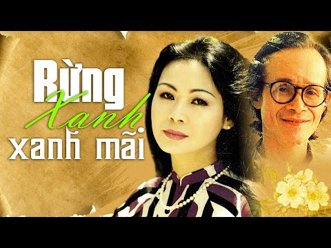 RỪNG XANH XANH MÃI