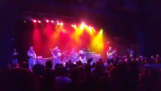 Jeff and Caudill and Sense Field &quot;Sage&quot;