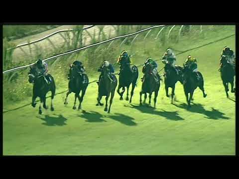 Galoppo 19/08/2020 - 6ª corsa - TRIS