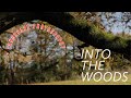 Landscape Photography Vlog 1 - Local Woodland