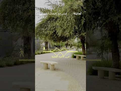 Yemeni Windows Media