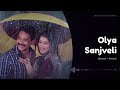 Olya Sanjveli Slowed Reverb Marathi Love Songs Video By Relax Rhythms