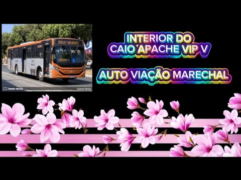 Interior do caio apache vip V, auto viação marechal 