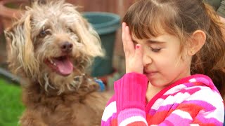 What To Do When Kids Are Afraid Of Dogs | Lucky Dog