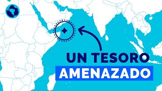 Socotra, the island of another planet