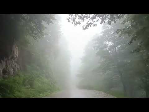 RÎYA ENBÎYA (PEYGAMBERLERİN YOLU) / ÎLAHÊ 'ÂLEM / SEYFULLAH 𝄞