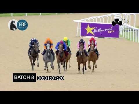 Irish EBF Barrier Trials 5 July 2022 - Batch 08