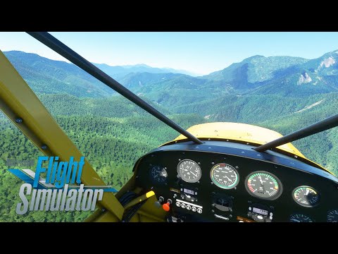 The Worst Place to be a Pilot! Bush Flying in Papua in Microsoft Flight Simulator 2020