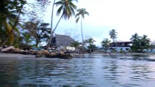 preview picture of video 'Boca del Drago Beach, Isla Colon, Bocas del Toro, Panama'