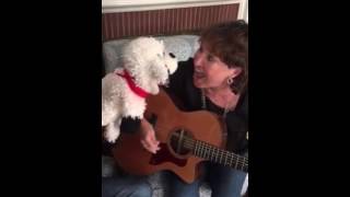 "Lion & Lamb" originally recorded by "Wendy & Mary" By Mary Rice Hopkins & David Michael Carrillo