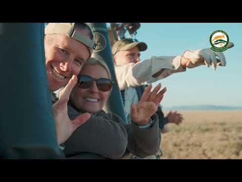 DISCOVER THE WONDER OF TANZANIA