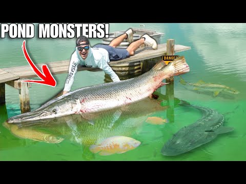 LE POISSON MONSTRE LE PLUS RARE DES ÉTATS-UNIS !! (PLUS GROS QUE MOI)