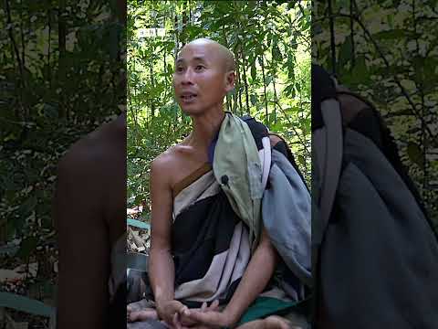 Lí Do Sư Minh Tuệ Đi Bộ Hành Đến Ấn Độ