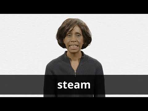 How to pronounce STEAM in American English