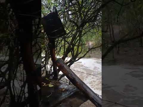 chuva no sítio logradouro em brejo da madre de Deus, PE 22  de fevereiro de 2026