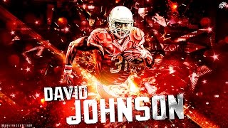 David Johnson Ultimate Career Highlights || "MVP" || NFL Mix