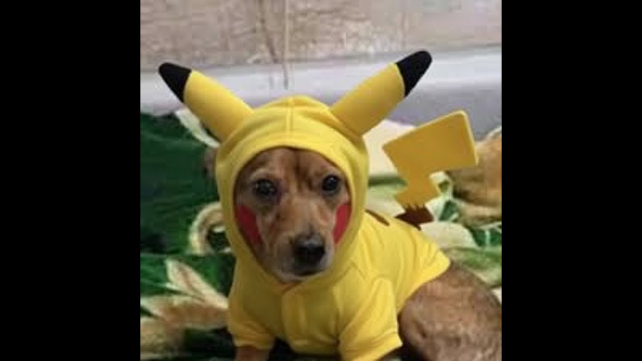 mój niesamowity Live widzowie dzisiaj 24h do godziny 3:59🔔🔔🔔