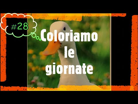 Imitiamo le andature degli animali 1° Parte - 28 -