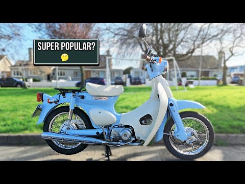 Honda Little Cub 50 - 2005 Honda little cub ▶️ THE MOST POPULAR motorcycle 2007