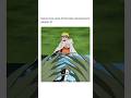 Aloe Vera Funny Naruto Memes Narutoshippuden