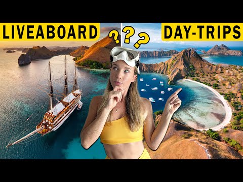 Komodo Diving: Liveaboard vs Day Trips – Don’t Choose Wrong! | Costs, Logistics, Diving